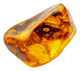 Ambergris