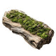 Driftwood